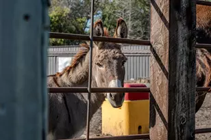 5445 157 St S, Glyndon, MN 56547 - Photo 68