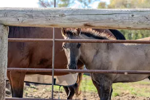 5445 157 St S, Glyndon, MN 56547 - Photo 8