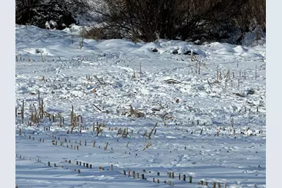 Tbd Co Hwy 10, Fergus Falls, MN 56537 - Photo 10