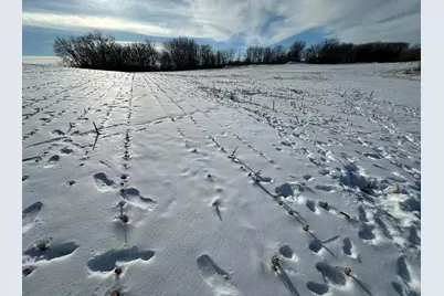 Tbd Co Hwy 10, Fergus Falls, MN 56537 - Photo 6