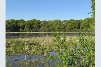 6254 61st Street S, Cottage Grove, MN 55016 - Photo 8