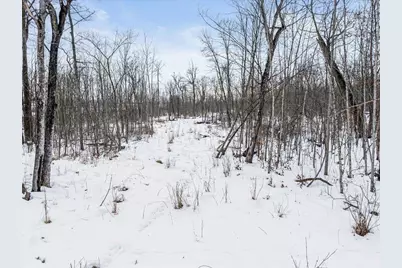 Tbd Highway 27, Swanville, MN 56382 - Photo 26