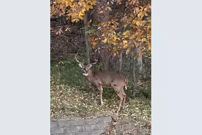 1315 49th Avenue, Winona, MN 55987 - Photo 36