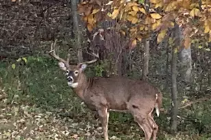 1315 49th Ave, Winona, MN 55987 - Photo 36