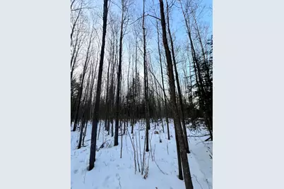 Tbd County Rd 67, Grand Rapids, MN 55744 - Photo 8