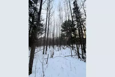 Tbd County Rd 67, Grand Rapids, MN 55744 - Photo 28