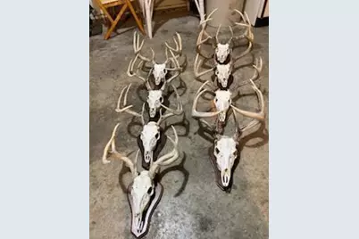 Na Na, Albert Lea, MN 56007 - Photo 4