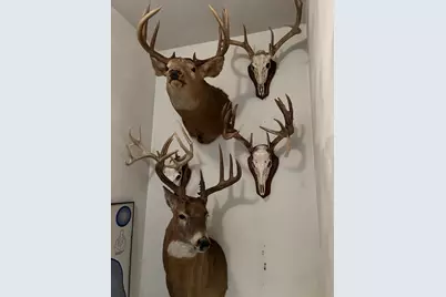 Na Na, Albert Lea, MN 56007 - Photo 10