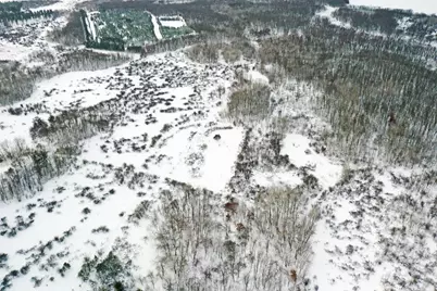 000 County Road 30, Staples, MN 56479 - Photo 20