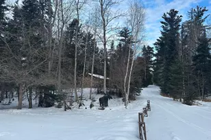 1302 Old North Shore Rd, Duluth, MN 55804 - Photo 30