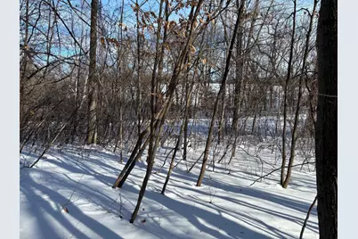 Tbd Fern Lane, Alexandria, MN 56343 - Photo 12