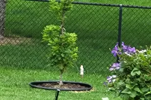 1285 Cuylle Bay, Faribault, MN 55021 - Photo 40