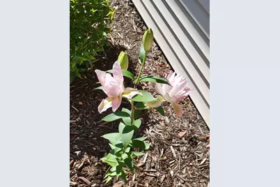 1285 Cuylle Bay, Faribault, MN 55021 - Photo 44