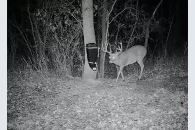 Tbd County Highway 10, Fergus Falls, MN 56537 - Photo 30