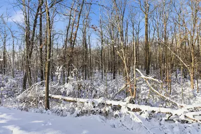 27331 Honey Hill Road, Randall, MN 56475 - Photo 52