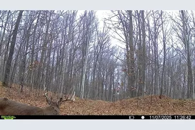 Block 5 Comet Road, Exeland, WI 54835 - Photo 16