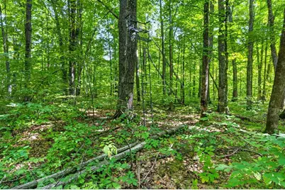 Block 6 Comet Road, Exeland, WI 54835 - Photo 10