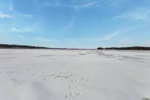 9130 State Hwy 24 NW, Annandale, MN 55302 - Photo 6