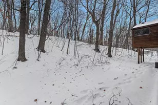 9130 State Hwy 24 NW, Annandale, MN 55302 - Photo 4