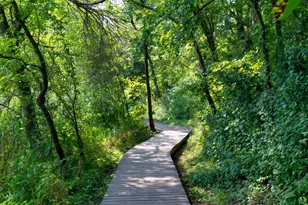 12297 Coffee Trail, Rosemount, MN 55068 - Photo 38