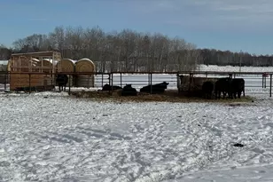 31528 63rd St, Royalton, MN 56373 - Photo 52