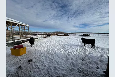 31528 63rd Street, Royalton, MN 56373 - Photo 48