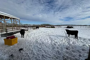 31528 63rd St, Royalton, MN 56373 - Photo 48