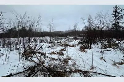 Tbd #1 Koecher Road, Kerrick, MN 55756 - Photo 6