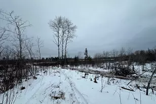 Tbd #2 Koecher Rd, Kerrick, MN 55756 - Photo 1