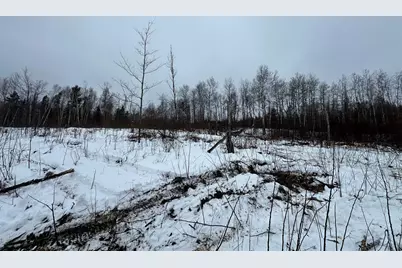 Tbd #4 Koecher Road, Kerrick, MN 55756 - Photo 4