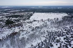 14672 Blueberry-Bridge Rd, Menahga, MN 56464 - Photo 1