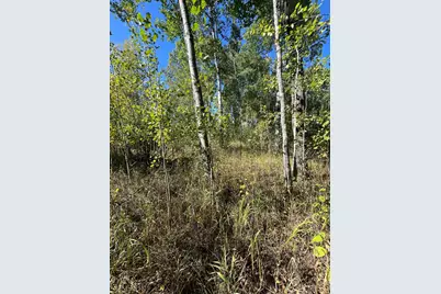 Tbd Parcel 1 E Pine Drive, Angle Inlet, MN 56711 - Photo 20
