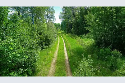 Tbd Parcel 1 E Pine Drive, Angle Inlet, MN 56711 - Photo 6