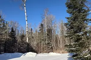 1152 Fernberg Rd, Ely, MN 55731 - Photo 18