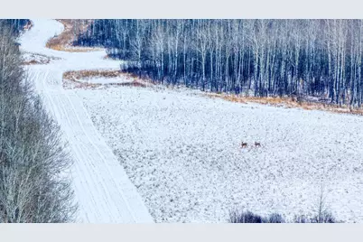 Tbd Fourtown Road NW, Grygla, MN 56727 - Photo 32