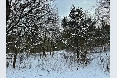 Tbd 162nd Street NW, Big Lake, MN 55309 - Photo 4