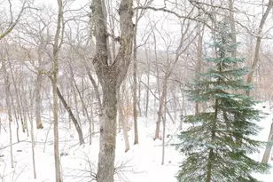 8566 Oak Hill Cir, Credit River Township, MN 55372 - Photo 40