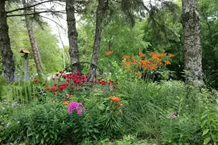 2945 County Road 4 SW, Cokato, MN 55321 - Photo 20