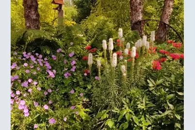 2945 County Road 4 SW #321, Cokato, MN 55321 - Photo 24