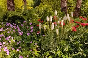 2945 County Road 4 SW, Cokato, MN 55321 - Photo 24