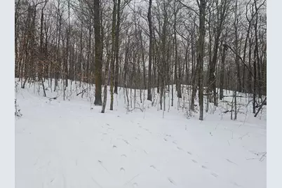 Tbd Lot 5 Cascade Court, Deerwood, MN 56444 - Photo 6