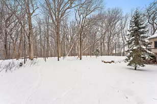 3228 151st Ave NE, Ham Lake, MN 55304 - Photo 48