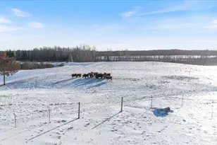 13601 E County Rd 578, Goodland, MN 55742 - Photo 26