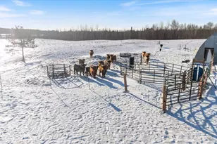 13601 E County Rd 578, Goodland, MN 55742 - Photo 12