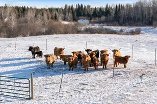 13601 E County Rd 578, Goodland, MN 55742 - Photo 24