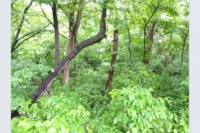 2945 County Road 4 SW #341, Cokato, MN 55321 - Photo 24