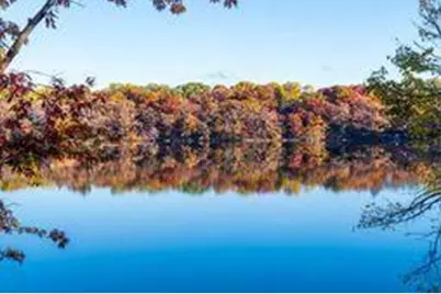 318 McCarrons Boulevard S, Roseville, MN 55113 - Photo 52