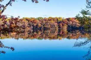 318 McCarrons Blvd S, Roseville, MN 55113 - Photo 52