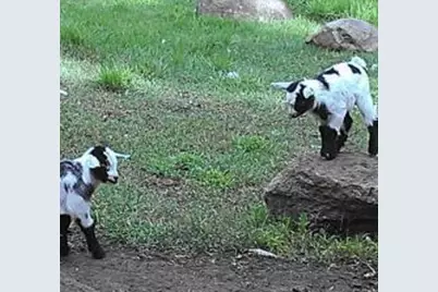 2945 County Road 4 #65 SW, Cokato, MN 55321 - Photo 14