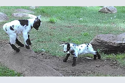 2945 County Road 4 SW #428, Cokato, MN 55321 - Photo 32